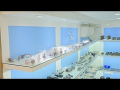 غرفة العرض 4